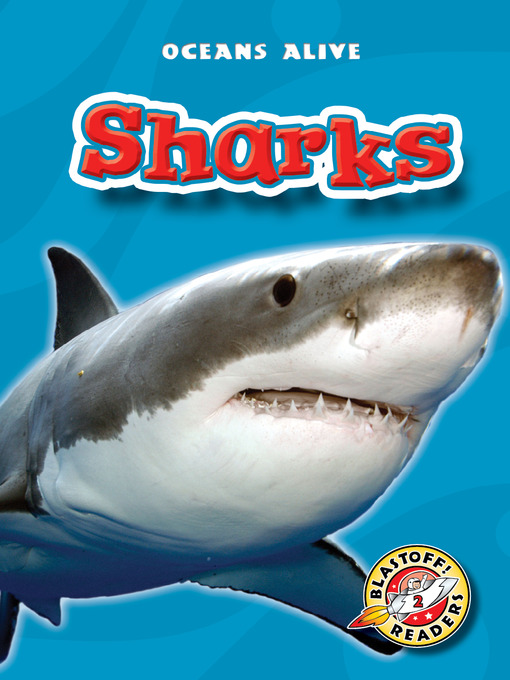 Title details for Sharks by Colleen Sexton - Wait list